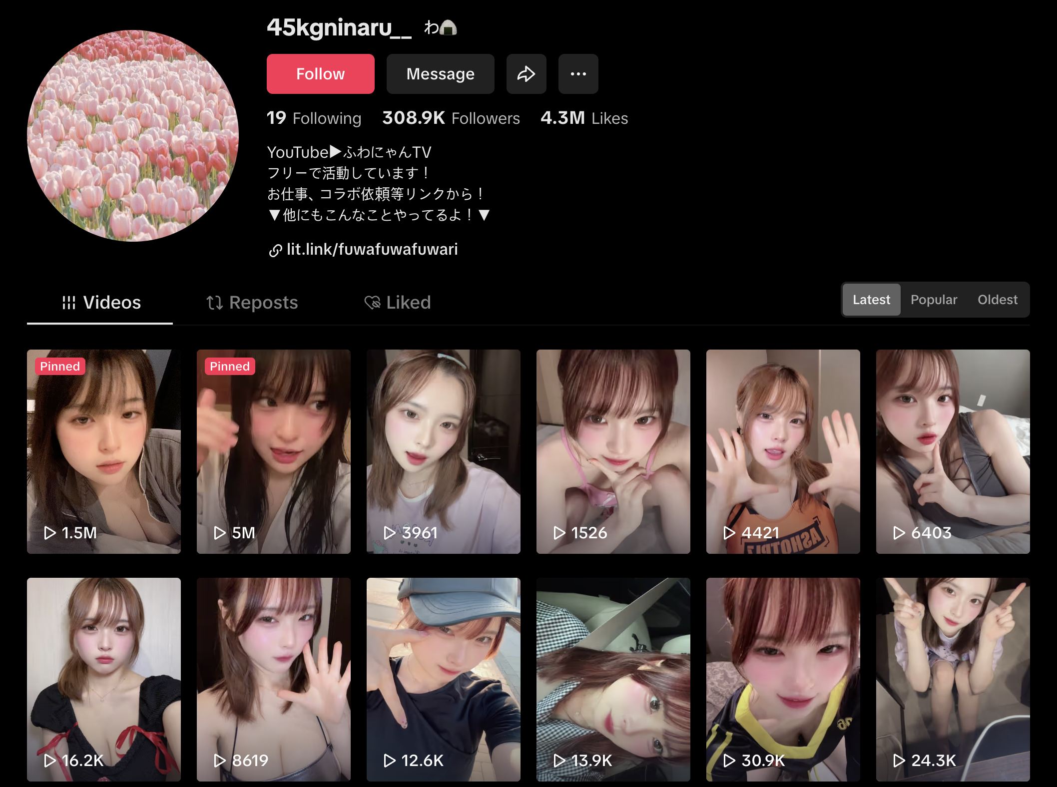 Fuwanyan TikTok Page
